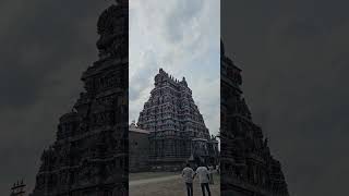 Temple big tree #trending #minivlog #tree #kovil gopuram#yt #tamil #travel #temple #shorts #god