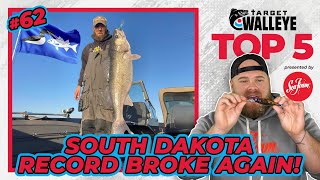 Target Walleye's Top 5 of the Week! 🔥 (Ep 62)