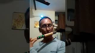 मैना  भूलूंगा मैना भूलूंगी #song#flute dhun# shorts.