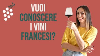 Selezione di vini francesi per iniziare a capirci qualcosa