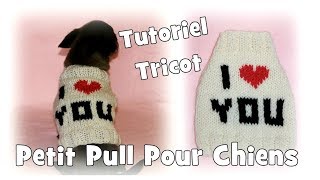 Tutoriel Tricot: Pull I Love You pour petits chiens Chihuahuas ou Yorkshires