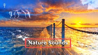 Heavy Rain and Loud Thunderstorm for Sleeping, Nature Sounds Version ⛈️