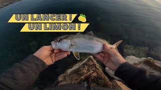 Pêche au leurre méditerranée [Lure Fishing] - Un lancer un poisson (6)