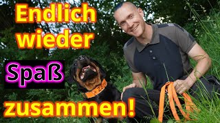 Die beste Strategie für den perfekten Spaziergang und einen zufriedenen, ausgeglichenen Hund!