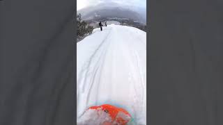 Immortal Skier