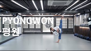 PYONGWON POOMSAE 평원 품새