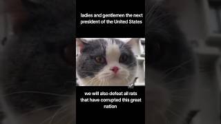 Catprisdent of the united states #youtubeshorts #cat