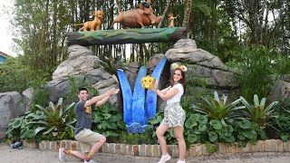 ROPE DROPPING ANIMAL KINGDOM - LION KING SHOW COMING BACK SOON?