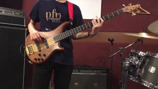 Camel - Long Goodbyes【BASS COVER】