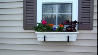 Window Box 2016