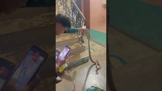 Cobra snake inside the house😱