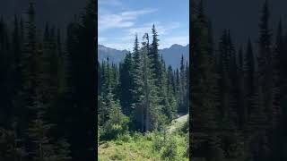 Mount Rainer Washington State Park