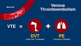 World Thrombosis Day