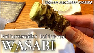 REAL WASABI | How SPICY?? | Popular Japanese Recipes | Honest Japanese Cooking