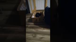 We Gave Him A Box