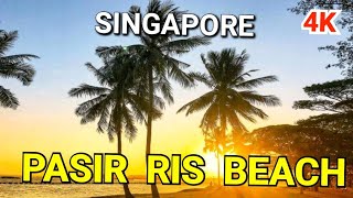 Pasir Ris Park | Singapore Park | Pasir Ris Beach