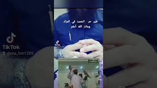 طير حر يصاب بالحسد اتناء المزاد العلني