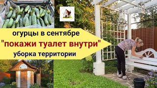 Дачный туалет внутри. Огурцы в сентябре. Архив 16.09.2023