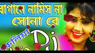 Bagane Namis Na Sona Re   Jor Khayao Dayao 10 Takar Dal Bhat Dailog Mix   Dj Song