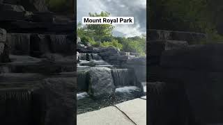 Mount Royal Park #shorts #short