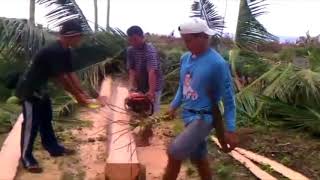 Amazing Primitive Cutting Coconut lumber - Splitting Wood Chainsaw