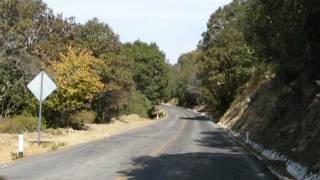 Carretera Escénica Panorámica Guanajuato