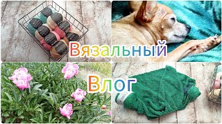 Вязальный влог 16/24. Немного о вязании... #vlog #knitting #вязание #процессы