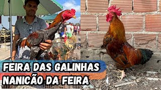 VEJA A FEIRA DAS GALINHAS DE ARAPIRACA-AL #nordeste BASTANTE CRIAÇÕES NO PREÇO BAIXO (20-10-2024)