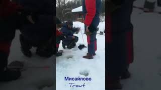 Мисайлово Trout. Зимняя форель