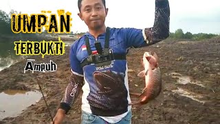 UMPAN MEMANCING MANGROVE JACK KETIKA UDANG PANCING SUSAH || SPOT MUARA