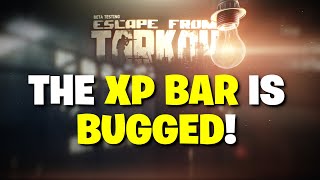 Escape From Tarkov PVE - Solo Local Raids Not Giving XP? XP Bar UI Bug Explained!