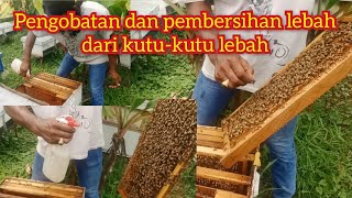 Pengobatan dan pembersihan lebah dari kutu-kutu lebah