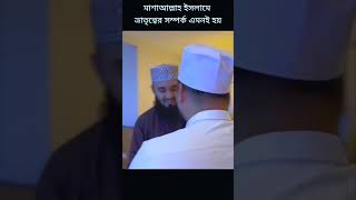 হাত ✋ তুলেছি মাওলা তোমারি দরবারে #shortvideo #shortsvideo #shorts #short