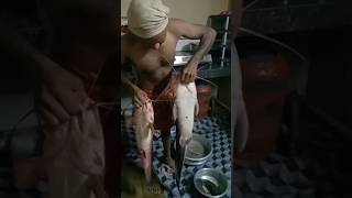 എടാ മോനേ..ആഫ്രിക്കൻ മുഷി #africanmushi #viral #shorts #fishing