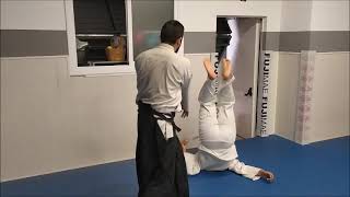 AIKIDO COMBAT TRAINING