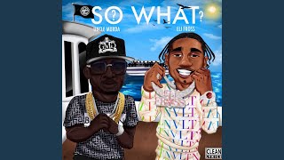 So What? (feat. Eli Fross)