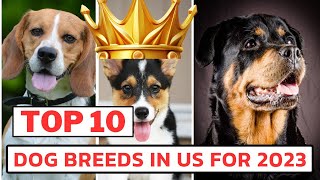 Top 10 dog breeds in the US for 2023 | Best Dog Breeds 2023