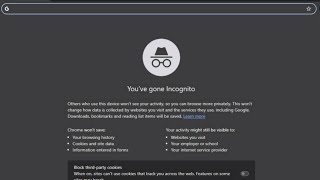 How to Enable Incognito Mode in Google Chrome (in 2024)