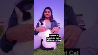 Videobombed by white Cat in Dubai #ytshorts #reels #animals