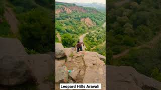 Leopard 🐆 Hills 🗻 #minivlog #aravali #aravalihills #shortvlog #mustvisit #mountains #shorts #viral