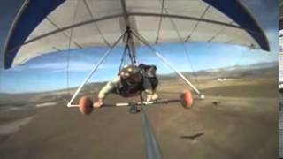 Hang gliding with man's best friend