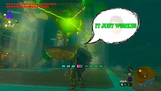 They didn't stop to think if they should it just Works!! Zelda Players are Out of Control!