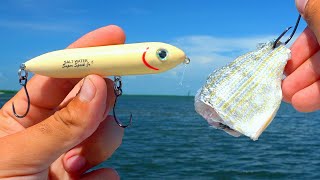 ARTIFICIAL LURES vs CUT BAIT Redfish Fishing Experiment