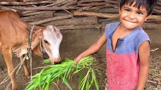 हमारे घर का आँगन 🏡 || Home garden With Nature | Vlog