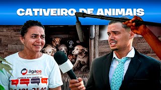 DENÚNCIA DE MAUS TRATOS AOS ANIMAIS - Nelsu sem pano