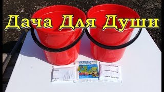 Скорая помощь ДЛЯ САДА. Обязательно сделайте это весной!