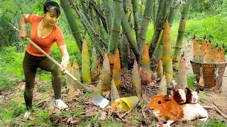 Harvesting Underground Bamboo Shoot Goes To Market Sell - Take Care Animals