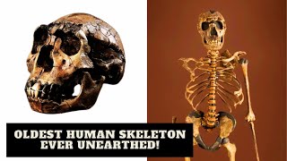 Turkana Boy (Homo ergaster) Is Not Who Scientists Thought He Was