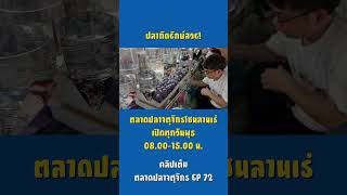 ปลากัดยัก #ตลาดปลาลานเร่ #ตลาดปลาสวยงาม #ตลาดปลาจตุจักร