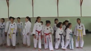 TaeKwonDo Forma Club CR87